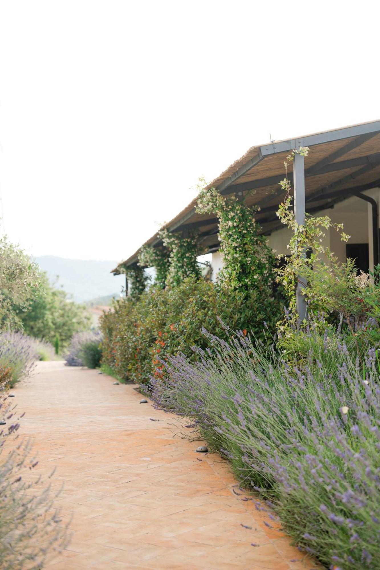 Hortus Natural Living Todi Extérieur photo